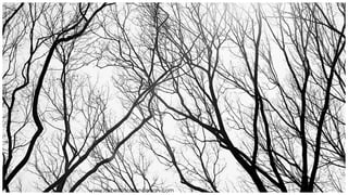 James+Houston+Design+Overview+02 | PDF