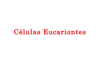 Células Eucariontes 