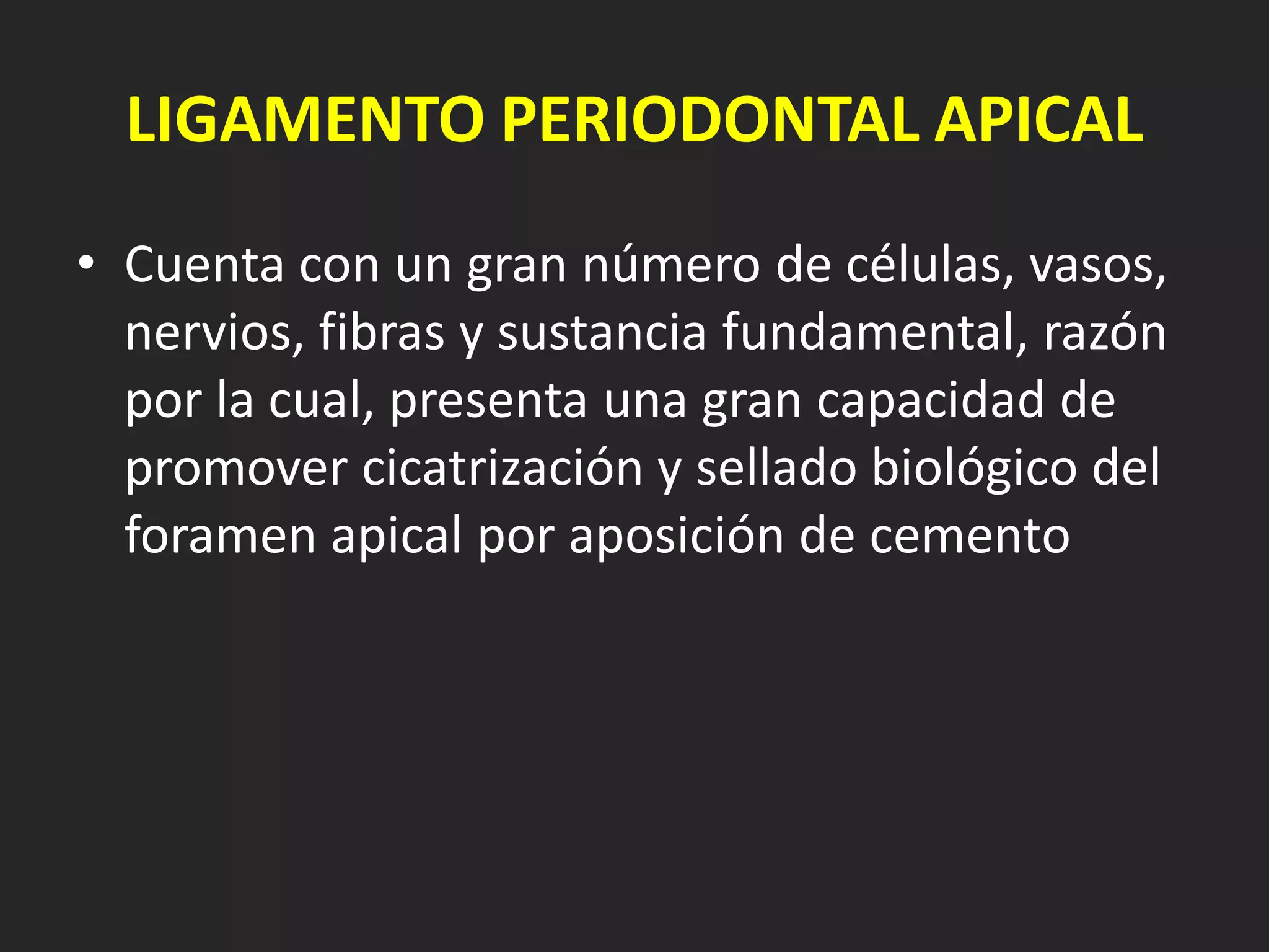LIGAMENTO PERIODONTAL APICAL
• Cuenta con un gran número de células, vasos,
  nervios, fibras y sustancia fundamental, razón
  por la cual, presenta una gran capacidad de
  promover cicatrización y sellado biológico del
  foramen apical por aposición de cemento
 