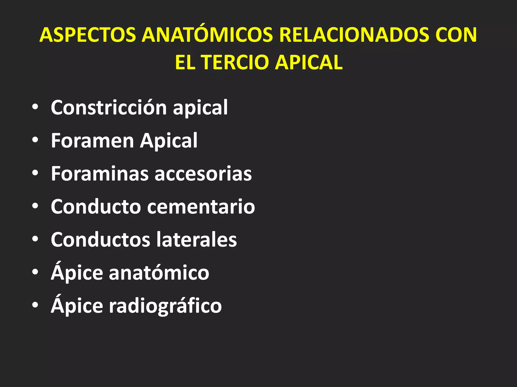 ASPECTOS ANATÓMICOS RELACIONADOS CON
               EL TERCIO APICAL
•   Constricción apical
•   Foramen Apical
•   Foraminas accesorias
•   Conducto cementario
•   Conductos laterales
•   Ápice anatómico
•   Ápice radiográfico
 