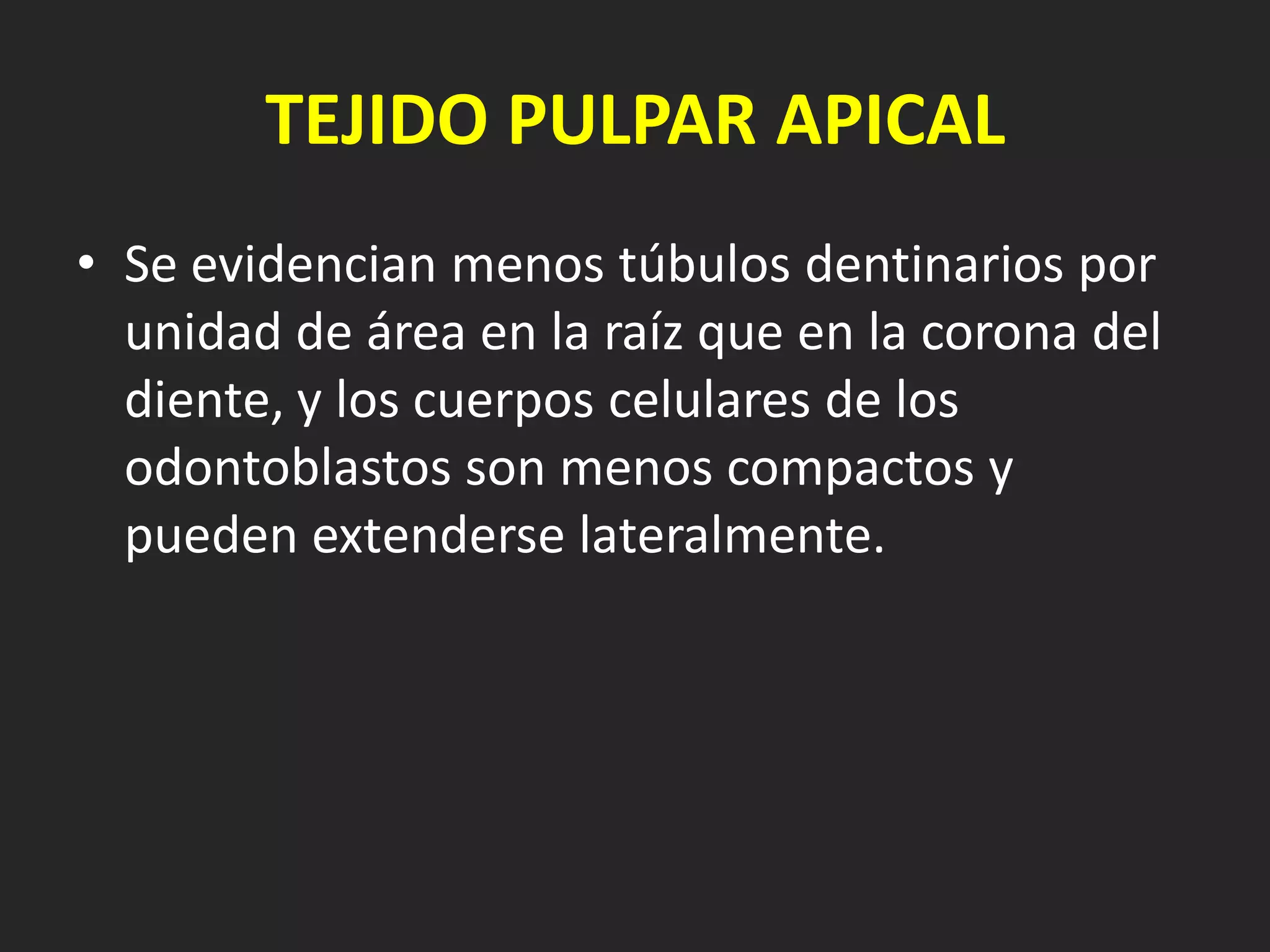 TEJIDO PULPAR APICAL
• Se evidencian menos túbulos dentinarios por
  unidad de área en la raíz que en la corona del
  diente, y los cuerpos celulares de los
  odontoblastos son menos compactos y
  pueden extenderse lateralmente.
 