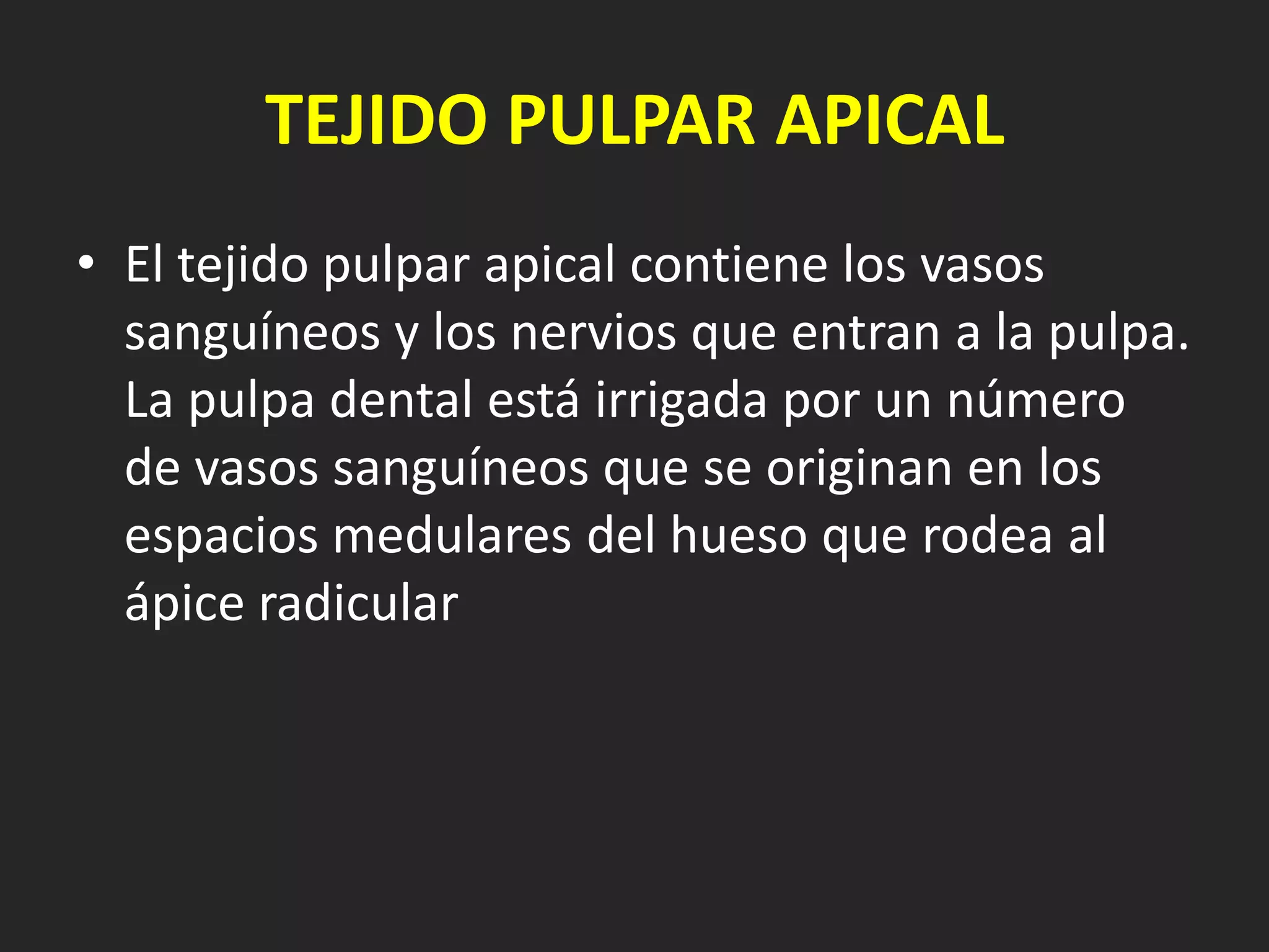 TEJIDO PULPAR APICAL
• El tejido pulpar apical contiene los vasos
  sanguíneos y los nervios que entran a la pulpa.
  La pulpa dental está irrigada por un número
  de vasos sanguíneos que se originan en los
  espacios medulares del hueso que rodea al
  ápice radicular
 