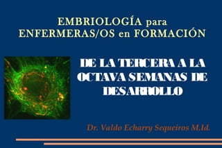 EMBRIOLOGÍA para
ENFERMERAS/OS en FORMACIÓN

        DE LA TERCERA A LA
        OCTAVA SEMANAS DE
           DESARROLLO

         Dr. Valdo Echarry Sequeiros M.Id.
 