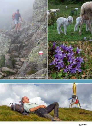 11
Op de top van de Pizzo Baciamorti.
De Orobische Alpen staan bekend om flora, met 200 unieke plantensoorten!
Bij de Passo del Torro openbaart zich de geheimzinnige tikker.
 