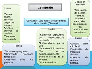 Lenguaje
Capacidad para hablar genéticamente
determinada (Chomski)
3 años
*Frases
cortas,
contesta
preguntas
simples.
*Conoce y
expresa su
nombre.
*Oraciones
de negación
4años
*Constantes preguntas
*Comprende relaciones
temporales
*Oraciones entre 4-5
palabras
5 años
*Relaciones espaciales,
de direccionalidad,
proximidad.
*Define objetos por su
uso
*Oraciones 5-6 palabras
*Se expresa
convencionalmente
sobre el estado de los
cuerpos.
*Ubica lateralidad
6 años
*Correcta fono
articulación
*Realización de
preguntas
*Predice
secuencia de
eventos
(historia).
7 años en
adelante
*Adquisición
de la lecto-
escritura.
*Establecen
categorías,
generalizacion
es.
*Abstracciones
superiores.
 