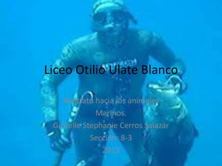 Liceo Otilio Ulate Blanco
Maltrato hacia los animales
Marinos.
Guiselle Stephanie Cerros Salazar
Sección: 8-3
2013
 