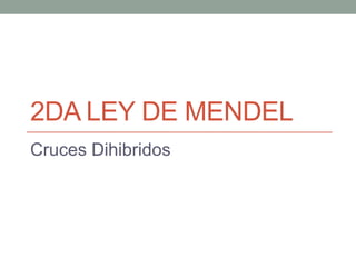 2DA LEY DE MENDEL
Cruces Dihibridos

 