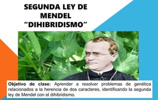 SEGUNDA LEY DE
MENDEL
“DIHIBRIDISMO”
Objetivo de clase: Aprender a resolver problemas de genética
relacionados a la herencia de dos caracteres, identificando la segunda
ley de Mendel con el dihibridismo.
 