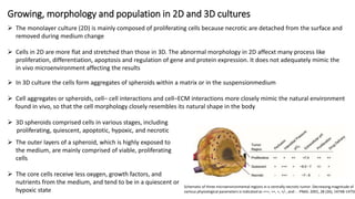 2D & 3D cell cultures | PPTX
