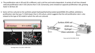 2D & 3D cell cultures | PPTX
