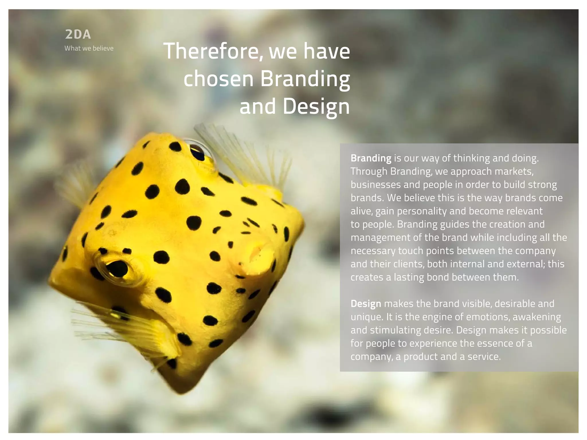 What we believe
                  Therefore, we have
                    chosen Branding
                         and Design

                                   Branding is our way of thinking and doing.
                                   Through Branding, we approach markets,
                                   businesses and people in order to build strong
                                   brands. We believe this is the way brands come
                                   alive, gain personality and become relevant
                                   to people. Branding guides the creation and
                                   management of the brand while including all the
                                   necessary touch points between the company
                                   and their clients, both internal and external; this
                                   creates a lasting bond between them.

                                   Design makes the brand visible, desirable and
                                   unique. It is the engine of emotions, awakening
                                   and stimulating desire. Design makes it possible
                                   for people to experience the essence of a
                                   company, a product and a service.
 