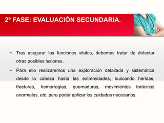 • Tras asegurar las funciones vitales, debemos tratar de detectar
otras posibles lesiones.
• Para ello realizaremos una exploración detallada y sistemática
desde la cabeza hasta las extremidades, buscando heridas,
fracturas, hemorragias, quemaduras, movimientos torácicos
anormales, etc. para poder aplicar los cuidados necesarios.
2ª FASE: EVALUACIÓN SECUNDARIA.
 