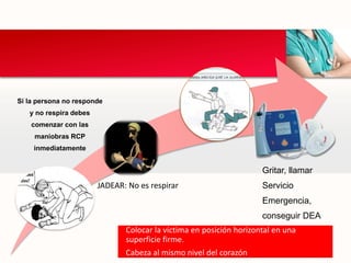Si la persona no responde
y no respira debes
comenzar con las
maniobras RCP
inmediatamente
JADEAR: No es respirar
Gritar, llamar
Servicio
Emergencia,
conseguir DEA
Colocar la víctima en posición horizontal en una
superficie firme.
Cabeza al mismo nivel del corazón
 