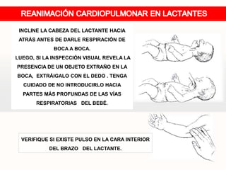 INCLINE LA CABEZA DEL LACTANTE HACIA
ATRÁS ANTES DE DARLE RESPIRACIÓN DE
BOCA A BOCA.
LUEGO, SI LA INSPECCIÓN VISUAL REVELA LA
PRESENCIA DE UN OBJETO EXTRAÑO EN LA
BOCA, EXTRÁIGALO CON EL DEDO . TENGA
CUIDADO DE NO INTRODUCIRLO HACIA
PARTES MÁS PROFUNDAS DE LAS VÍAS
RESPIRATORIAS DEL BEBÉ.
VERIFIQUE SI EXISTE PULSO EN LA CARA INTERIOR
DEL BRAZO DEL LACTANTE.
 