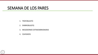 SEMANA DE LOS PARES
1. TROFOBLASTO
2. EMBRIOBLASTO
3. MESODERMO EXTRAEMBRIONARIO
4. CAVIDADES
 