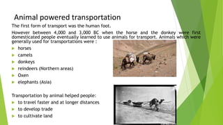 Animal powered transportation
The first form of transport was the human foot.
However between 4,000 and 3,000 BC when the horse and the donkey were first
domesticated people eventually learned to use animals for transport. Animals which were
generally used for transportations were :
 horses
 camels
 donkeys
 reindeers (Northern areas)
 Oxen
 elephants (Asia)
Transportation by animal helped people:
 to travel faster and at longer distances
 to develop trade
 to cultivate land
 