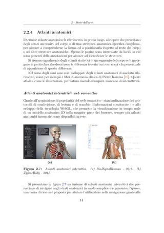 2 – Stato dell’arte
2.2.4 Atlanti anatomici
Il termine atlante anatomico fa riferimento, in primo luogo, alle opere che presentano
degli strati successivi del corpo o di una struttura anatomica speciﬁca complessa,
per aiutare a comprenderne la forma ed a posizionarla rispetto al resto del corpo
o ad altre strutture anatomiche. Spesso le pagine sono intercalate da lucidi in cui
sono presenti delle annotazioni per aiutare ad identiﬁcare le strutture.
Si trovano ugualmente degli atlanti statistici di un segmento del corpo o di un or-
gano in particolare che descrivono le diﬀerenze trovate tra i vari corpi e la percentuale
di apparizione di queste diﬀerenze.
Nel corso degli anni sono stati sviluppati degli atlanti anatomici di assoluto rife-
rimento, come per esempio i libri di anatomia clinica di Pierre Kamina [10]. Questi
atlanti, come le illustrazioni, per natura essendo stampati, mancano di interattività.
Atlanti anatomici interattivi: web semantico
Grazie all’acquisizione di popolarità del web semantico - standardizzazione dei pro-
tocolli di condivisione, di lettura e di scambio d’informazioni strutturate - e allo
sviluppo della tecnologia WebGL, che permette la visualizzazione in tempo reale
di un modello anatomico 3D nella maggior parte dei browser, sempre più atlanti
anatomici interattivi sono disponibili in rete.
(a) (b)
Figura 2.7: Atlanti anatomici interattivi. (a) BioDigitalHuman - 2016. (b)
ZygoteBody - 2014.
Si presentano in ﬁgura 2.7 un insieme di atlanti anatomici interattivi che per-
mettono di navigare negli strati anatomici in modo semplice e ergonomico. Spesso,
una barra di ricerca è proposta per aiutare l’utilizzatore nella navigazione grazie alla
14
 