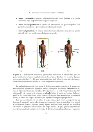 3 – Anatomia: conoscenze anatomiche e modelli 3D
• l’asse trasversale è situato all’intersezione del piano frontale con quello
trasversale ed è perpendicolare al piano sagittale.
• l’asse antero-posteriore è situato all’intersezione del piano sagittale con
quello trasversale ed è perpendicolare al piano frontale.
• l’asse longitudinale è situato all’intersezione del piano frontale con quello
sagittale ed è perpendicolare al piano trasversale.
(a) (b) (c)
Figura 3.1: Riferimenti anatomici. (a) Postura anatomica di riferimento. (b) Tre
piani anatomici: il piano sagittale (in verde), il piano frontale (in rosso) e il piano
trasversale (in blu). (c) Tre assi anatomici principali: l’asse trasversale (in rosso),
l’asse antero-posteriore (in blu) e l’asse longitudinale (in verde).
La profondità anatomica permette di deﬁnire una posizione relativa di una strut-
tura in esame rispetto alla superﬁcie esterna della pelle. Il termine superﬁciale in-
dica le strutture vicine alla superﬁcie del corpo (ad es.: la pelle è superﬁciale rispetto
ai muscoli). Al contrario, il termine profondo indica le strutture lontani dalla su-
perﬁcie. La traslazione di un piano rispetto al proprio asse permette un percorso di
strato in strato del corpo: da quello più superﬁciale al piano più profondo.
Per una descrizione più speciﬁca, il corpo umano può essere scomposto in un
insieme di segmenti: testa, collo, tronco, arti superiori (braccio, avambraccio e mano)
e arti inferiori (coscia, gamba e piede). Questi segmenti sono uniti gli uni agli altri
attraverso le principali articolazioni del corpo umano. Si può quindi migliorare la
descrizione anatomica attraverso termini di direzione e orientamento come i seguenti:
27
 