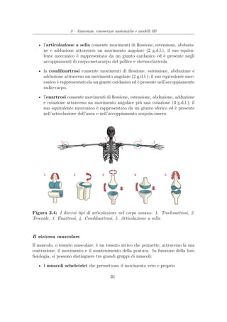 3 – Anatomia: conoscenze anatomiche e modelli 3D
• l’articolazione a sella consente movimenti di ﬂessione, estensione, abduzio-
ne e adduzione attraverso un movimento angolare (2 g.d.l.); il suo equiva-
lente meccanico è rappresentato da un giunto cardanico ed è presente negli
accoppiamenti di carpo-metacarpo del pollice e sterno-clavicola.
• la condiloartrosi consente movimenti di ﬂessione, estensione, abduzione e
adduzione attraverso un movimento angolare (2 g.d.l.); il suo equivalente mec-
canico è rappresentato da un giunto cardanico ed è presente nell’accoppiamento
radio-carpo.
• l’enartrosi consente movimenti di ﬂessione, estensione, abduzione, adduzione
e rotazione attraverso un movimento angolare più una rotazione (3 g.d.l.); il
suo equivalente meccanico è rappresentato da un giunto sferico ed è presente
nell’articolazione dell’anca e nell’accoppiamento scapola-omero.
Figura 3.4: I diversi tipi di articolazione nel corpo umano: 1. Trocleoartrosi, 2.
Trocoide, 3. Enartrosi, 4. Condiloartrosi, 5. Articolazione a sella
Il sistema muscolare
Il muscolo, o tessuto muscolare, è un tessuto attivo che permette, attraverso la sua
contrazione, il movimento e il mantenimento della postura. In funzione della loro
ﬁsiologia, si possono distinguere tre grandi gruppi di muscoli:
• I muscoli scheletrici che permettono il movimento vero e proprio
31
 