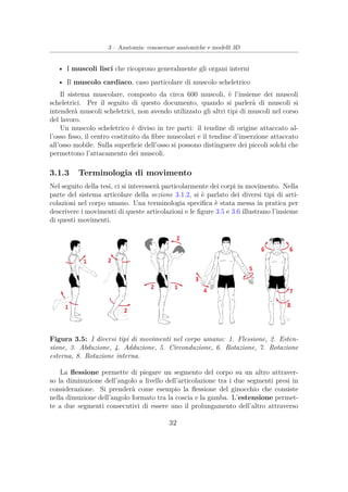 3 – Anatomia: conoscenze anatomiche e modelli 3D
• I muscoli lisci che ricoprono generalmente gli organi interni
• Il muscolo cardiaco, caso particolare di muscolo scheletrico
Il sistema muscolare, composto da circa 600 muscoli, è l’insieme dei muscoli
scheletrici. Per il seguito di questo documento, quando si parlerà di muscoli si
intenderà muscoli scheletrici, non avendo utilizzato gli altri tipi di muscoli nel corso
del lavoro.
Un muscolo scheletrico è diviso in tre parti: il tendine di origine attaccato al-
l’osso ﬁsso, il centro costituito da ﬁbre muscolari e il tendine d’inserzione attaccato
all’osso mobile. Sulla superﬁcie dell’osso si possono distinguere dei piccoli solchi che
permettono l’attacamento dei muscoli.
3.1.3 Terminologia di movimento
Nel seguito della tesi, ci si interesserà particolarmente dei corpi in movimento. Nella
parte del sistema articolare della sezione 3.1.2, si è parlato dei diversi tipi di arti-
colazioni nel corpo umano. Una terminologia speciﬁca è stata messa in pratica per
descrivere i movimenti di queste articolazioni e le ﬁgure 3.5 e 3.6 illustrano l’insieme
di questi movimenti.
Figura 3.5: I diversi tipi di movimenti nel corpo umano: 1. Flessione, 2. Esten-
sione, 3. Abduzione, 4. Adduzione, 5. Circonduzione, 6. Rotazione, 7. Rotazione
esterna, 8. Rotazione interna.
La ﬂessione permette di piegare un segmento del corpo su un altro attraver-
so la diminuzione dell’angolo a livello dell’articolazione tra i due segmenti presi in
considerazione. Si prenderà come esempio la ﬂessione del ginocchio che consiste
nella dimuzione dell’angolo formato tra la coscia e la gamba. L’estensione permet-
te a due segmenti consecutivi di essere uno il prolungamento dell’altro attraverso
32
 