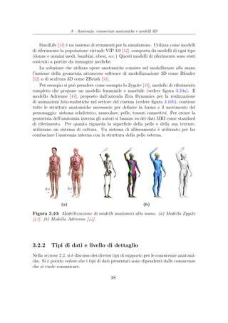 3 – Anatomia: conoscenze anatomiche e modelli 3D
Sim4Life [41] è un insieme di strumenti per la simulazione. Utilizza come modelli
di riferimento la popolazione virtuale VIP 3.0 [42], composta da modelli di ogni tipo
(donne e uomini medi, bambini, obesi, ecc.) Questi modelli di riferimento sono stati
costruiti a partire da immagini mediche.
La soluzione che utilizza opere anatomiche consiste nel modellizzare alla mano
l’insieme della geometria attraverso software di modellizzazione 3D come Blender
[32] o di scultura 3D come ZBrush [31].
Per esempio si può prendere come esempio lo Zygote [43], modello di riferimento
completo che propone un modello femminile e maschile (vedere ﬁgura 3.10a). Il
modello Adrienne [44], proposto dall’azienda Ziva Dynamics per la realizzazione
di animazioni foto-realistiche nel settore del cinema (vedere ﬁgura 3.10b), contiene
tutte le strutture anatomiche necessarie per deﬁnire la forma e il movimento del
personaggio: sistema scheletrico, muscolare, pelle, tessuti connettivi. Per creare la
geometria dell’anatomia interna gli autori si basano su dei dati MRI come standard
di riferimento. Per quanto riguarda la superﬁcie della pelle e della sua texture,
utilizzano un sistema di cattura. Un sistema di allineamento è utilizzato per far
combaciare l’anatomia interna con la struttura della pelle esterna.
(a) (b)
Figura 3.10: Modellizzazione di modelli anatomici alla mano. (a) Modello Zygote
[43]. (b) Modello Adrienne [44].
3.2.2 Tipi di dati e livello di dettaglio
Nella sezione 2.2, si è discusso dei diversi tipi di supporto per le conoscenze anatomi-
che. Si è potuto vedere che i tipi di dati presentati sono dipendenti dalle conoscenze
che si vuole comunicare.
38
 