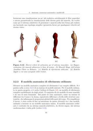 3 – Anatomia: conoscenze anatomiche e modelli 3D
forniscono una visualizzazione un po’ più realistica sottolineando le ﬁbre muscolari
o ancora permettendo la visualizzazione delle diverse parti del muscolo. Si è scelto
come per il sistema scheletrico di presentare i muscoli nella loro forma più realista
ma lasciando una topologia semplice (geometria liscia) per guadagnare velocità nel
ritorno visivo.
(a) (b) (c) (d)
Figura 3.12: Diversi criteri di astrazione per il sistema muscolare. (a) Rappre-
sentazione dei muscoli attraverso le linee di azione. (b) Muscoli Maya, dell’artista
Jonathan Chien su Behance. (c) Modello di riferimento utilizzato. (d) Modello
Zygote a cui sono assegnate delle texture.
3.2.3 Il modello anatomico di riferimento utilizzato
Ottenere un modello anatomico completo di riferimento è un compito diﬃcile. Si è
parlato nella sezione 3.2.1 di un insieme di modelli esistenti. Per il modello utilizza-
to in questo progetto, si è scelto l’utilizzo di Zygote [43], un modello di riferimento
completo modellizzato da degli artisti. È composto da un modello di sesso maschile
e da uno di sesso femminile. Dal punto di vista anatomico, esiste un insieme di
diﬀerenze tra l’uomo e la donna, soprattutto diﬀerenze a livello delle strutture ana-
tomiche, che inﬂuenzano le proporzioni globali delle parti del corpo. Per sempliﬁcare
il lavoro, è stato scelto di fare un’astrazione da queste diversità tra i due modelli,
andando a lavorare su un modello anatomico unisex. Il modello anatomico utiliz-
zato è costituito da un sistema muscolo-scheletrico, da diversi organi, dal sistema
cardiovascolare e dalla pelle (vedere 3.13).
41
 