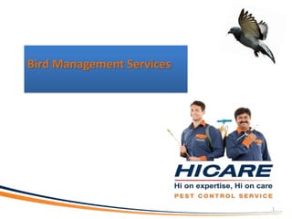 Bird Management Services
1
 