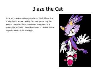 Blaze the Cat
Blaze is a princess and the guardian of the Sol Emeralds,
a role similar to that held by Knuckles (protecting the
Master Emerald). She is sometimes referred to as a
queen; She is called "Queen Blaze the Cat” on the official
Sega of America Sonic mini sight.
 