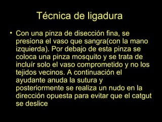 Técnica de ligadura
• Con una pinza de disección fina, se
presiona el vaso que sangra(con la mano
izquierda). Por debajo de esta pinza se
coloca una pinza mosquito y se trata de
incluír solo el vaso comprometido y no los
tejidos vecinos. A continuación el
ayudante anuda la sutura y
posteriormente se realiza un nudo en la
dirección opuesta para evitar que el catgut
se deslice
 
