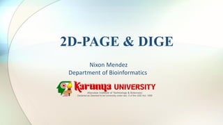 2D-PAGE & DIGE
Nixon Mendez
Department of Bioinformatics
 