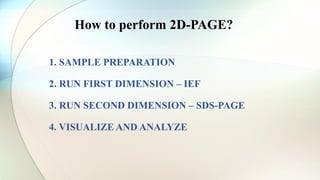 1. SAMPLE PREPARATION
2. RUN FIRST DIMENSION – IEF
3. RUN SECOND DIMENSION – SDS-PAGE
4. VISUALIZE AND ANALYZE
How to perform 2D-PAGE?
 