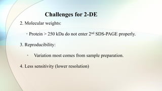 2. Molecular weights:
• Protein > 250 kDa do not enter 2nd SDS-PAGE properly.
3. Reproducibility:
• Variation most comes from sample preparation.
4. Less sensitivity (lower resolution)
Challenges for 2-DE
 
