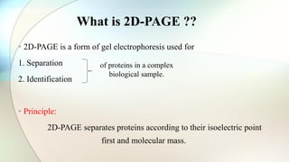 • 2D-PAGE is a form of gel electrophoresis used for
1. Separation
2. Identification
• Principle:
2D-PAGE separates proteins according to their isoelectric point
first and molecular mass.
What is 2D-PAGE ??
of proteins in a complex
biological sample.
 