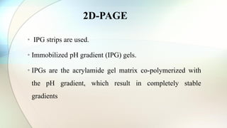 • IPG strips are used.
• Immobilized pH gradient (IPG) gels.
• IPGs are the acrylamide gel matrix co-polymerized with
the pH gradient, which result in completely stable
gradients
2D-PAGE
 