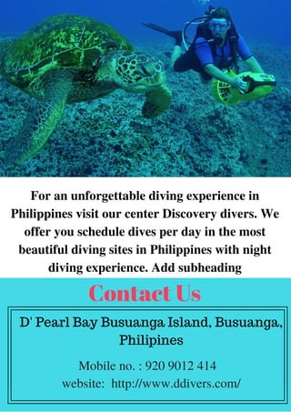 For an unforgettable diving experience in
Philippines visit our center Discovery divers. We
offer you schedule dives per day in the most
beautiful diving sites in Philippines with night
diving experience. Add subheading
Contact Us
D' Pearl Bay Busuanga Island, Busuanga,
Philipines
Mobile no. : 920 9012 414
website: http://www.ddivers.com/
 