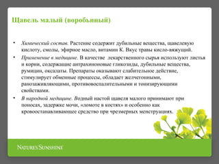 Щавель малый (воробьиный) 
• Химический состав. Растение содержит дубильные вещества, щавелевую 
кислоту, смолы, эфирное масло, витамин К. Вкус травы кисло-вяжущий. 
• Применение в медицине. В качестве лекарственного сырья используют листья 
и корни, содержащие антрахиноновые гликозиды, дубильные вещества, 
румицин, оксалаты. Препараты оказывают слабительное действие, 
стимулирует обменные процессы, обладает желчегонными, 
ранозаживляющими, противовоспалительными и тонизирующими 
свойствами. 
• В народной медицине. Водный настой щавеля малого принимают при 
поносах, задержке мочи, «ломоте в костях» и особенно как 
кровоостанавливающее средство при чрезмерных менструациях. 
 
