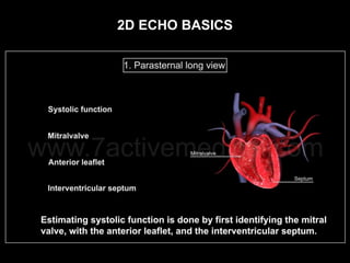 2d Echo Basics | PPTX