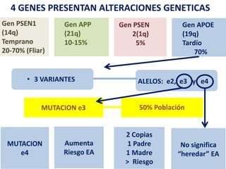 22
Gen 363
Gen PSEN1
(14q)
Temprano
20-70% (Fliar)
Gen APP
(21q)
10-15%
Gen PSEN
2(1q)
5%
Gen APOE
(19q)
Tardío
70%
• 3 VARIANTES ALELOS: e2, e3 y e4
MUTACION e3 50% Población
MUTACION
e4
Aumenta
Riesgo EA
2 Copias
1 Padre
1 Madre
> Riesgo
No significa
“heredar” EA
4 GENES PRESENTAN ALTERACIONES GENETICAS
 