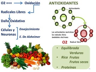 ANTIOXIDANTES
26
• Equilibrada
Verduras
Frutas
Frutos secos
• Proteínas
• Rica
O2 +++ Oxidación
Radicales Libres
Daño Oxidativo
Células y
Neuronas
Envejecimiento
E. De Alzheimer
O2
 