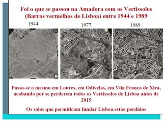 2 degradação dos solos