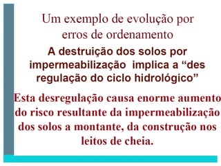 2 degradação dos solos