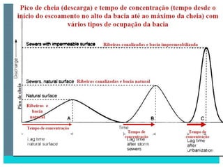 2 degradação dos solos