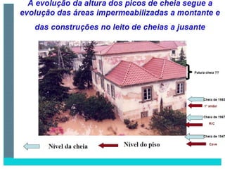 2 degradação dos solos