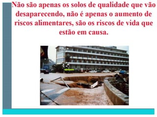 2 degradação dos solos