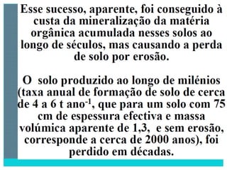 2 degradação dos solos