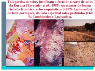 2 degradação dos solos