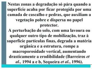 2 degradação dos solos