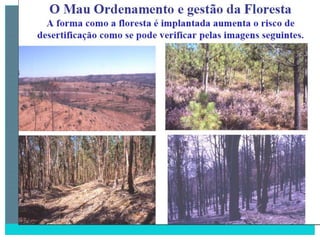 2 degradação dos solos