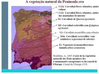 2 degradação dos solos