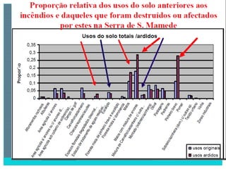 2 degradação dos solos